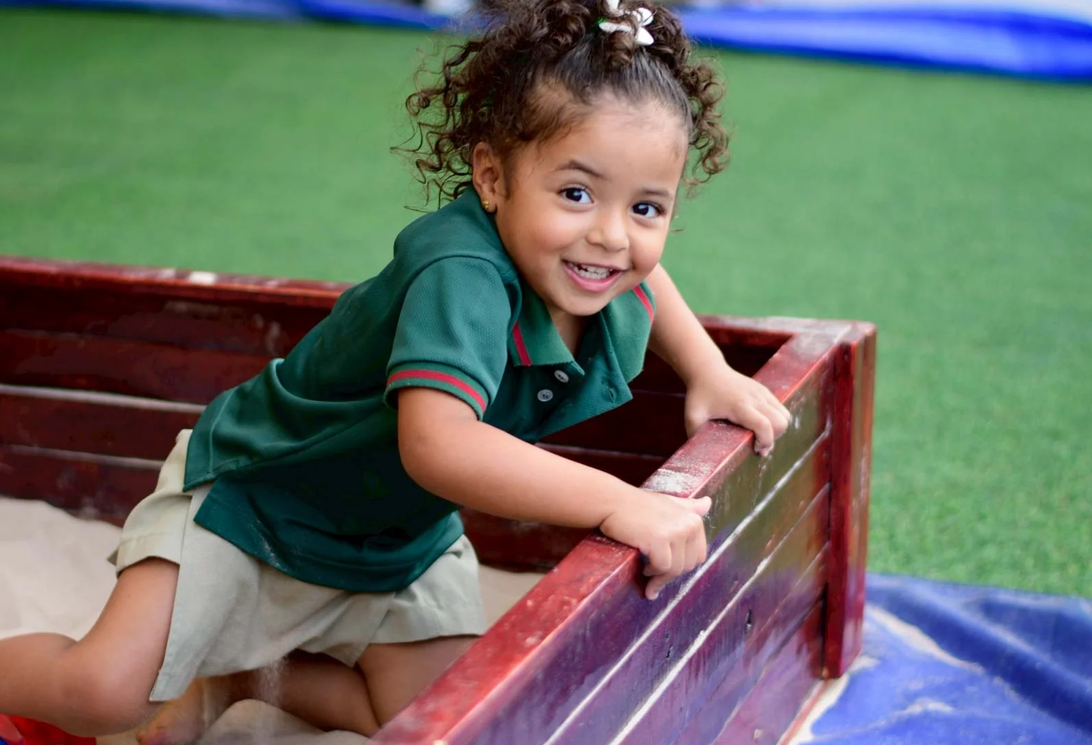 Learning Rainforest approach