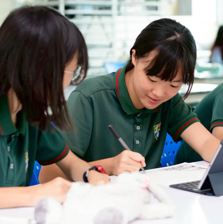 Intensive Support Programme