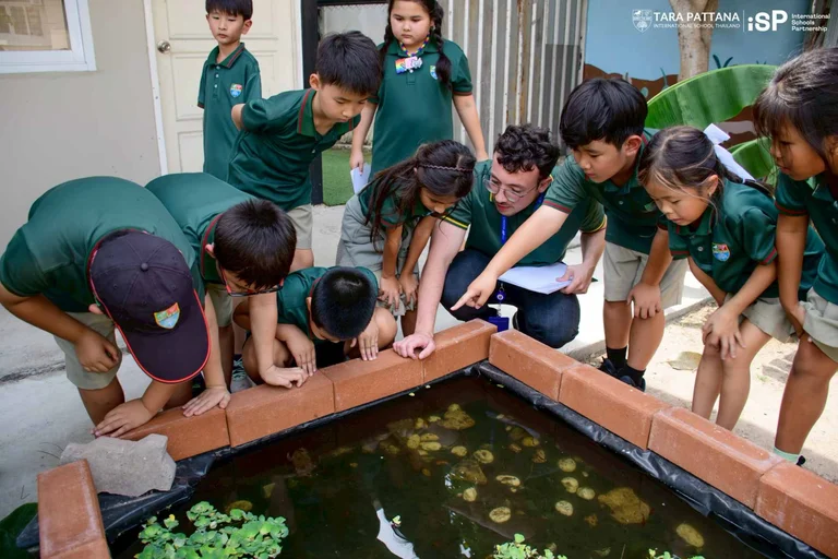 Student-led activities