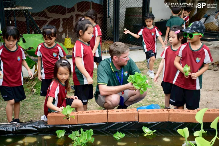 Environmental programmes