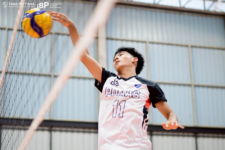 Life beyond academics